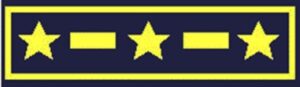 Image of Senior Navigator insignia