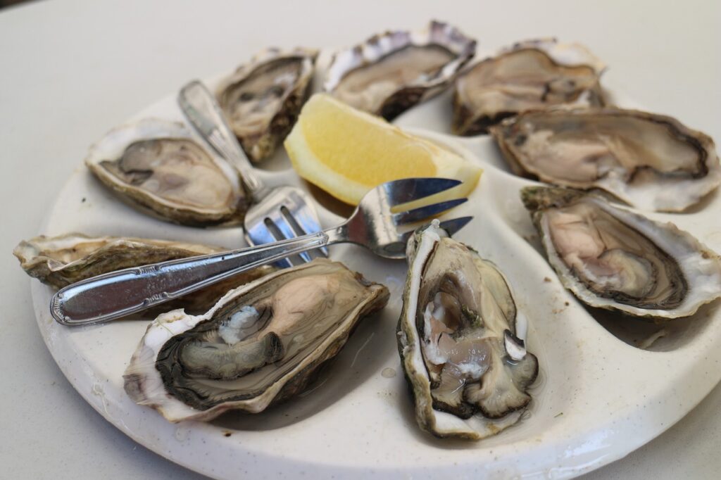 oysters, seafood, market-6805970.jpg